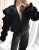 image00007.jpeg